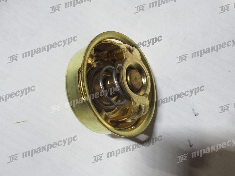 Термостат 31646-02200