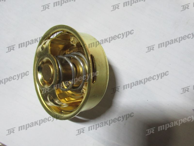 Термостат 31646-02200