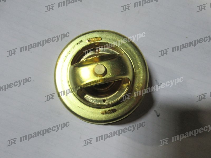 Термостат 31646-02200