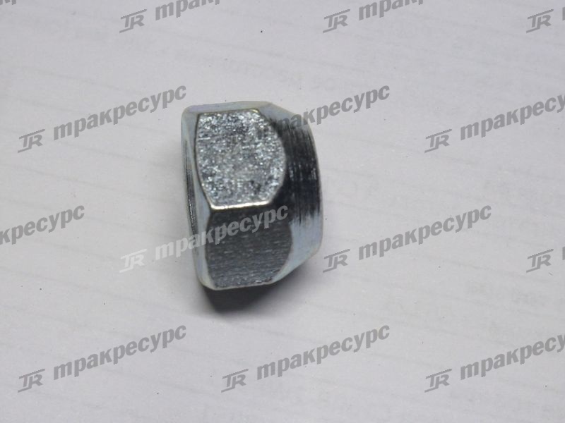 Гайка ступицы 90179-14001-71