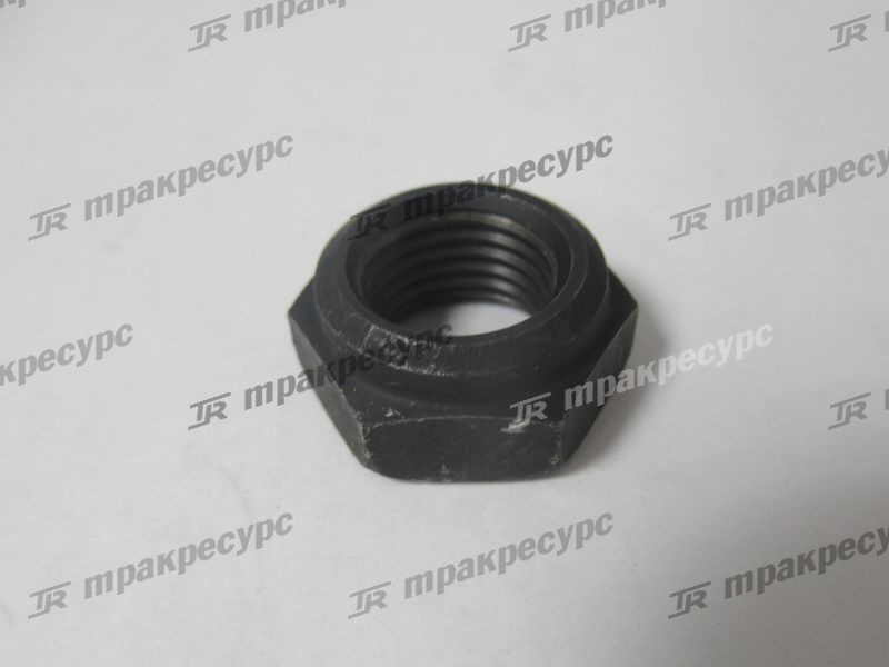 Гайка 22118-40181