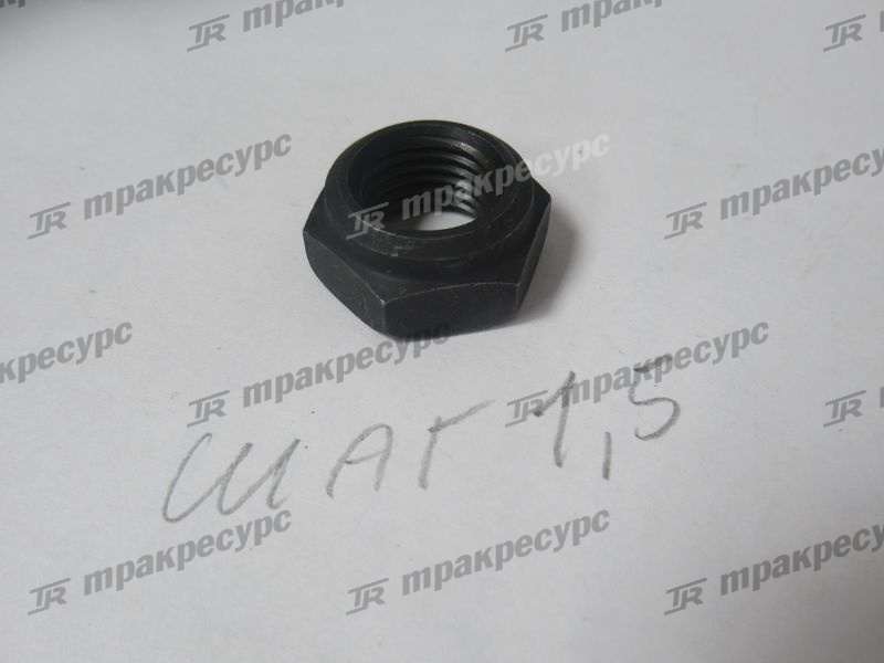 Гайка 22118-40181
