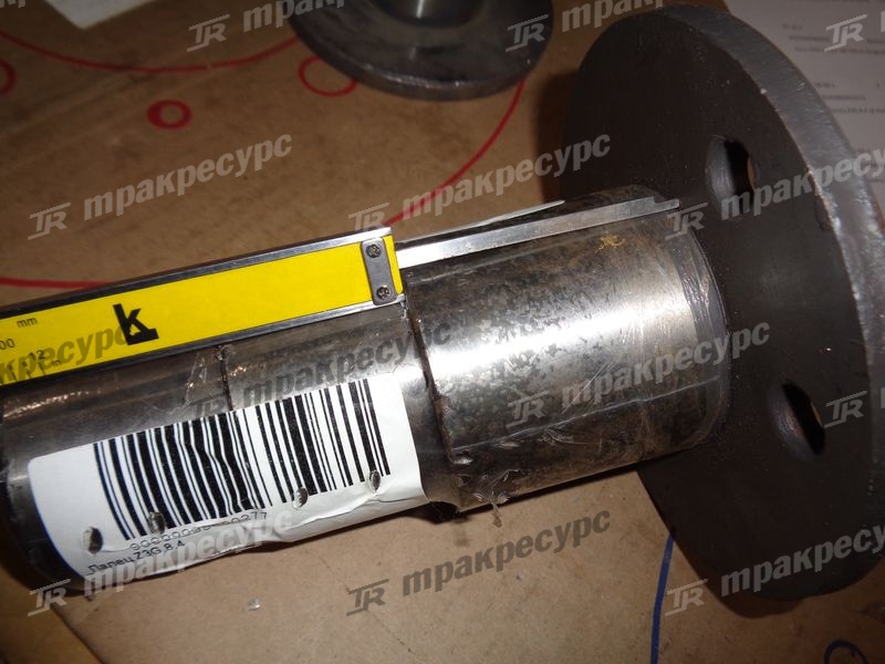 Палец Z3.8.6/250100215