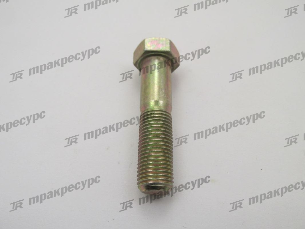 Болт 24453-02061