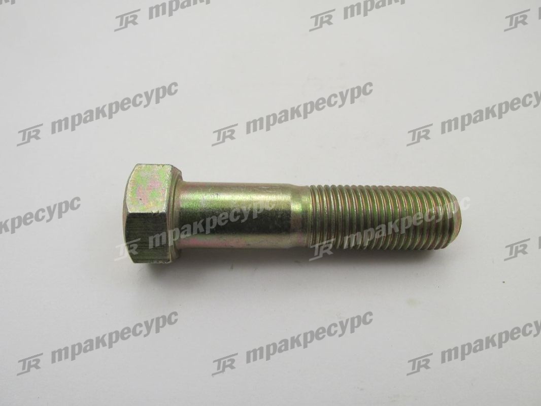 Болт 24453-02061