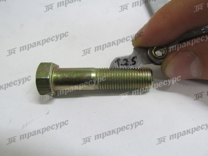 Болт 24453-02061