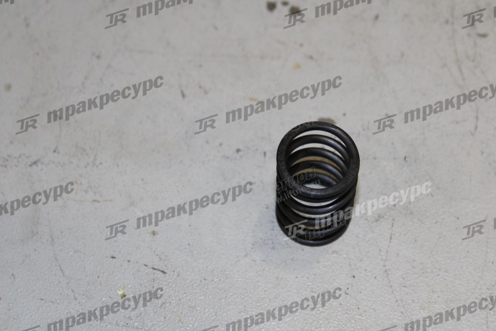 Пружина 24433-70030G