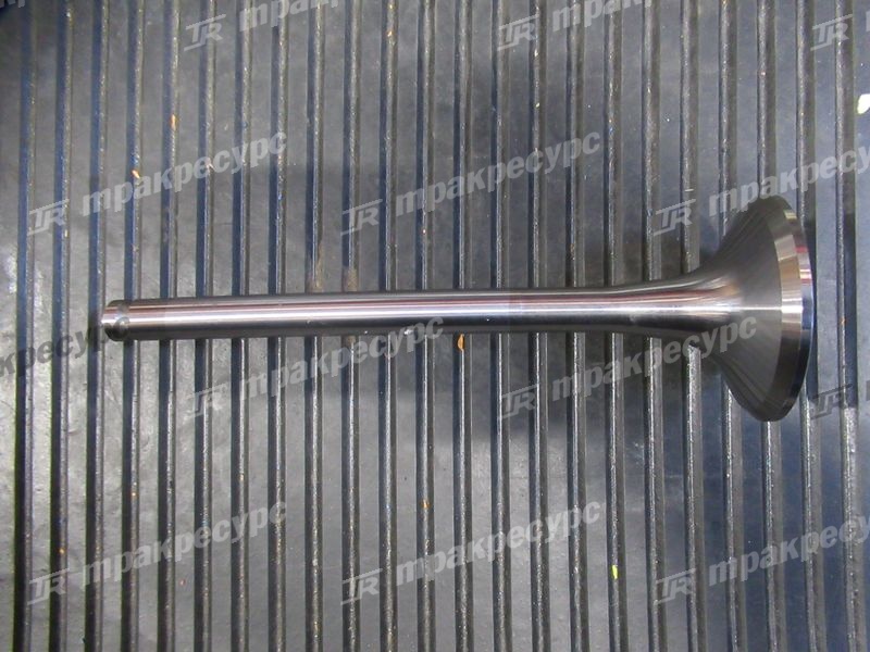 Клапан выпускной WD10/WD615