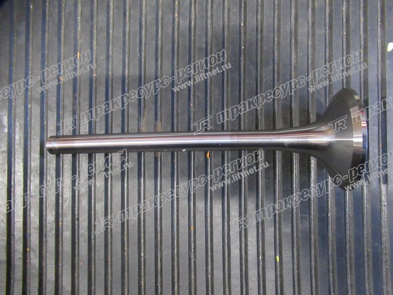 Клапан выпускной WD10/WD615