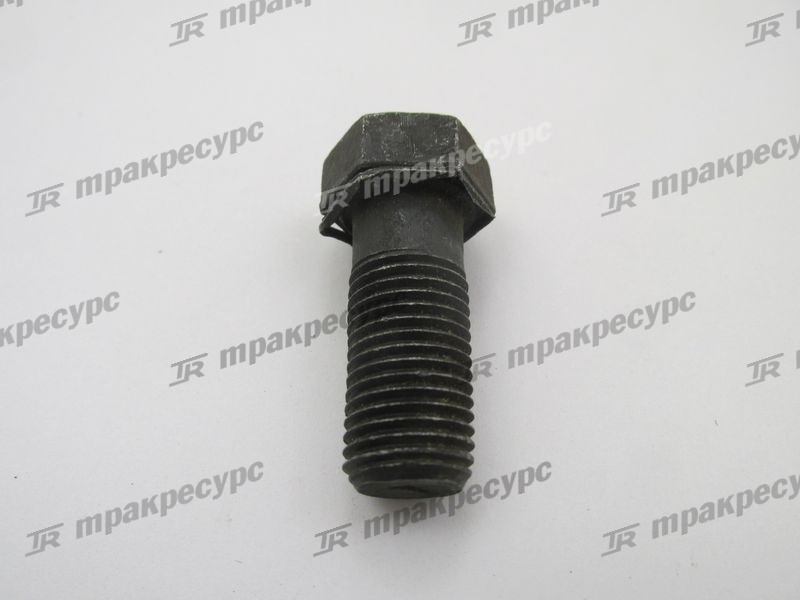 Болт M14x40