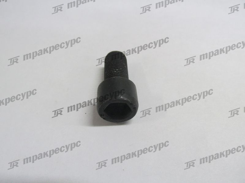 Болт гайки ступицы 4014000016