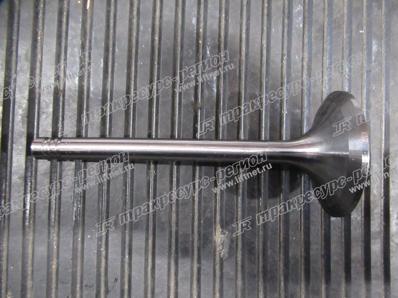 Клапан впускной TD226/WP6G