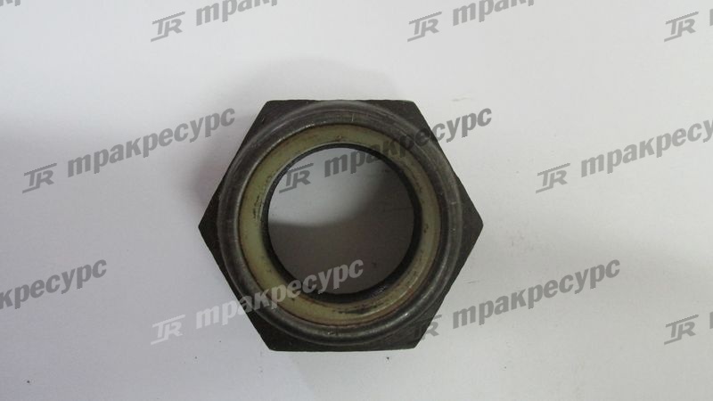 Гайка выходного вала 30309001181