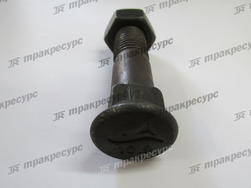 Болт с гайкой зуба ковша центрального ZL40A.11.1-19