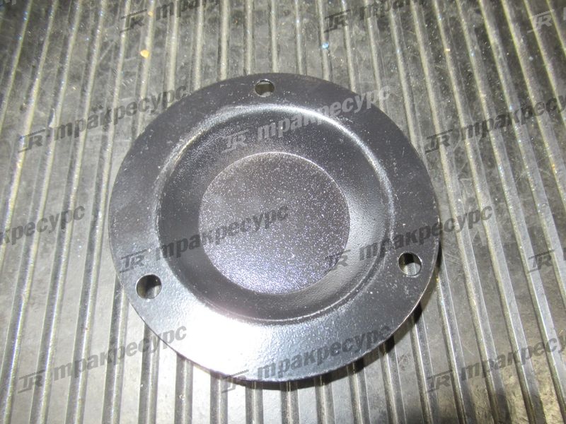 Крышка ступицы N030-220014-000