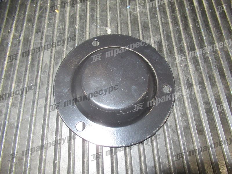 Крышка ступицы N030-220014-000