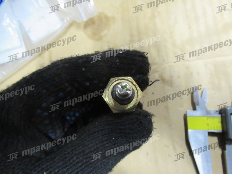 Датчик температуры воды вид 2 490BPG/A490BPB/NC485BPG/NB485BPG