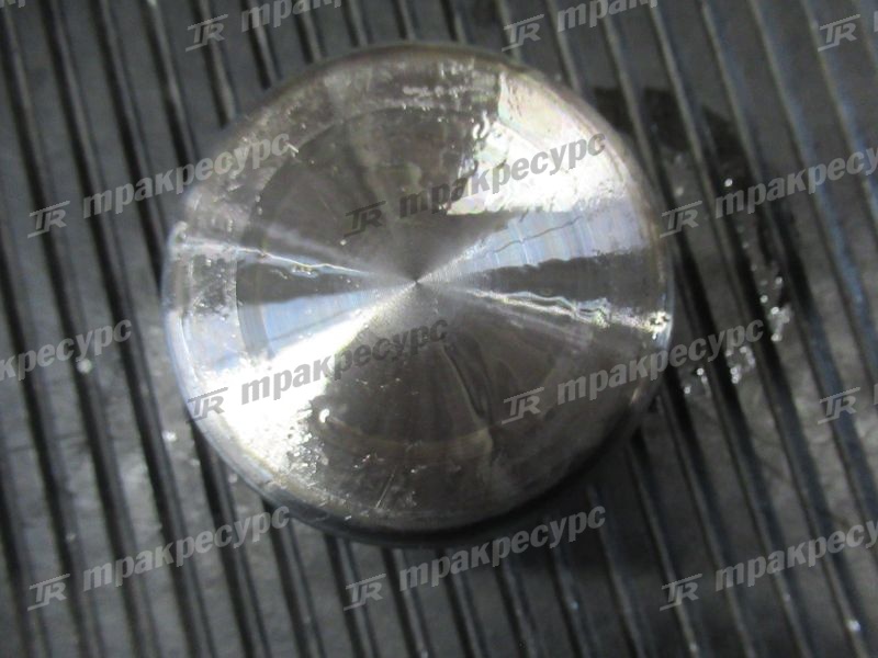 Поршень суппорта тормозного CDM833