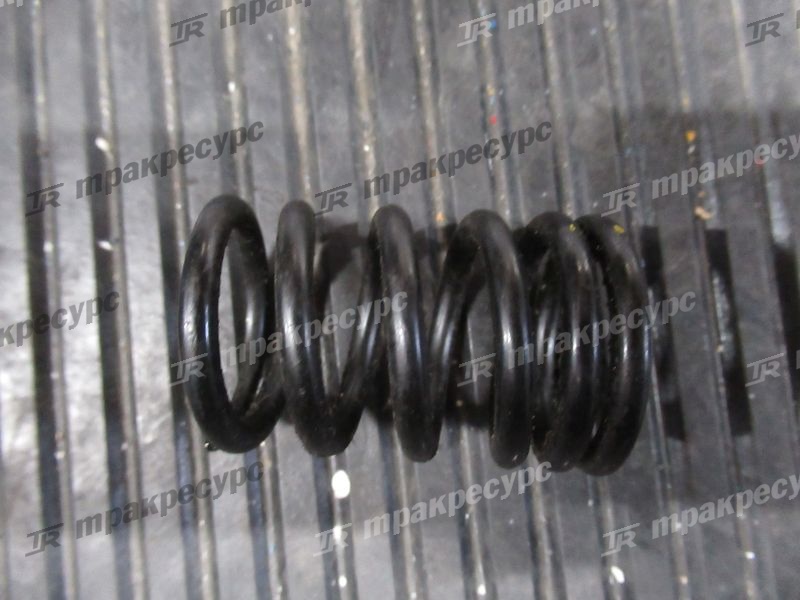 Пружина клапана YM129900-11120