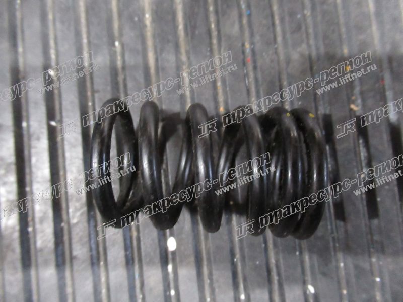 Пружина клапана YM129900-11120