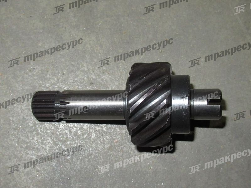 Насос масляный Z-1-13100-204-0