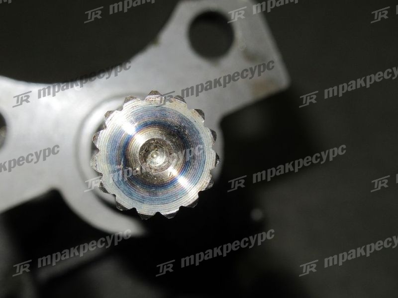 Насос масляный Z-1-13100-204-0