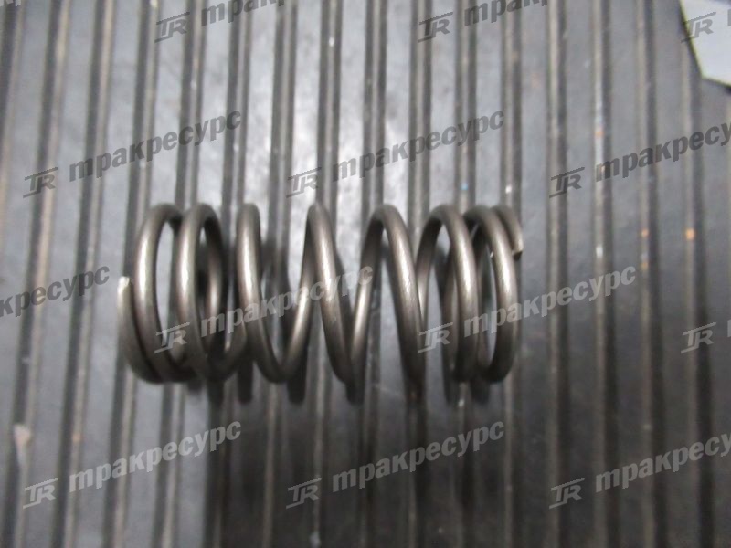 Пружина клапана Z-1-12561-099-0