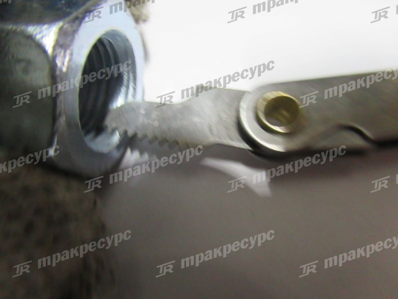 Гайка 23854-11051