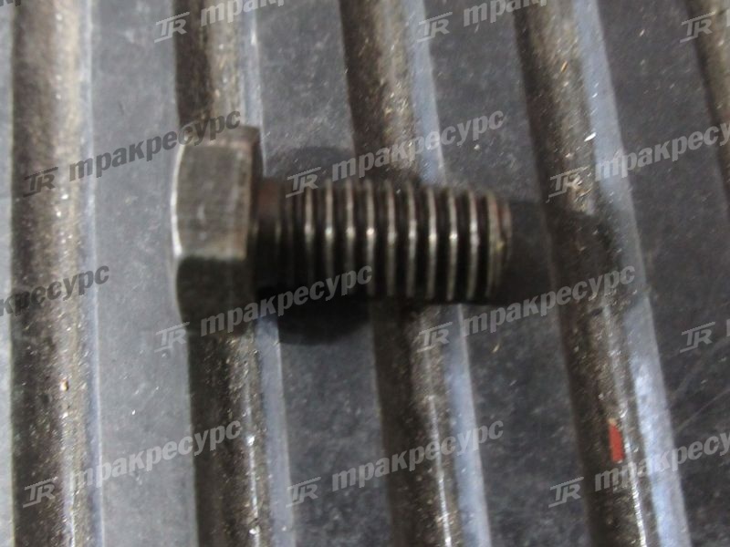 Болт F1035-06012