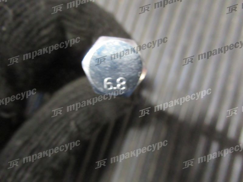 Болт 01103-10100