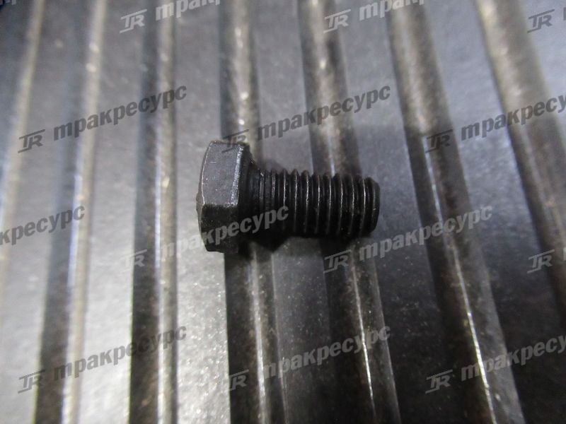 Болт GB5783-86/M6X12