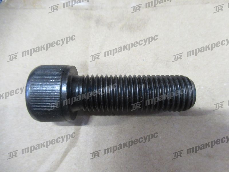 Болт маховика/шкива TD226
