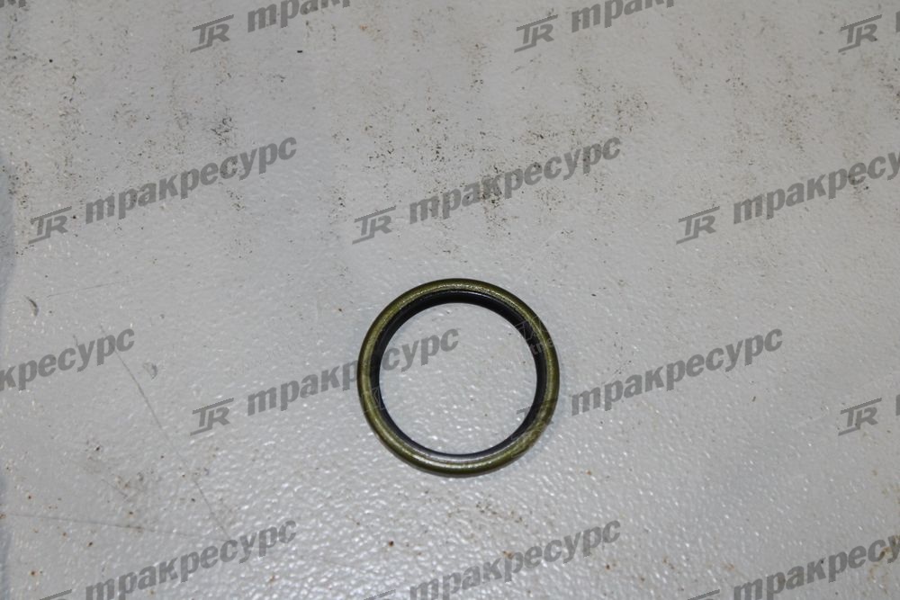 Уплотнение 40024-L1100