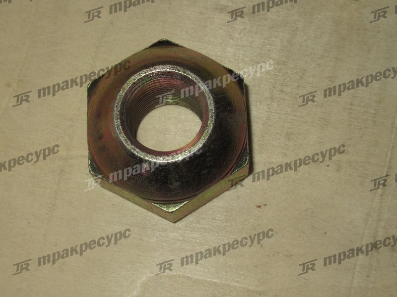 Гайка ступицы ведущего моста 23913-02041