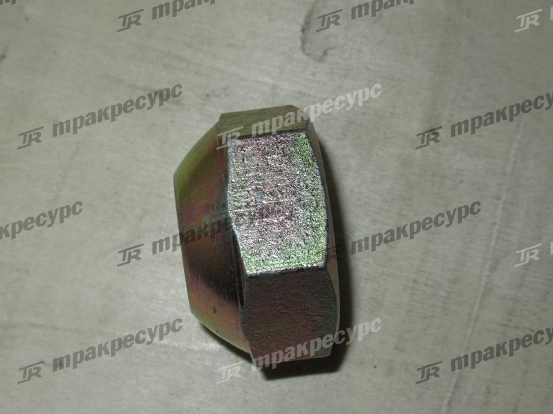 Гайка ступицы ведущего моста 23913-02041