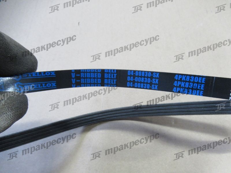 Ремень генератора GQ491GP