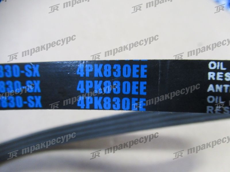 Ремень генератора GQ491GP