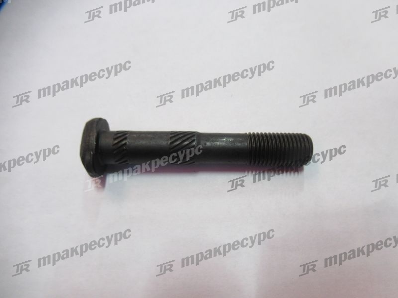Болт 1004067-X2