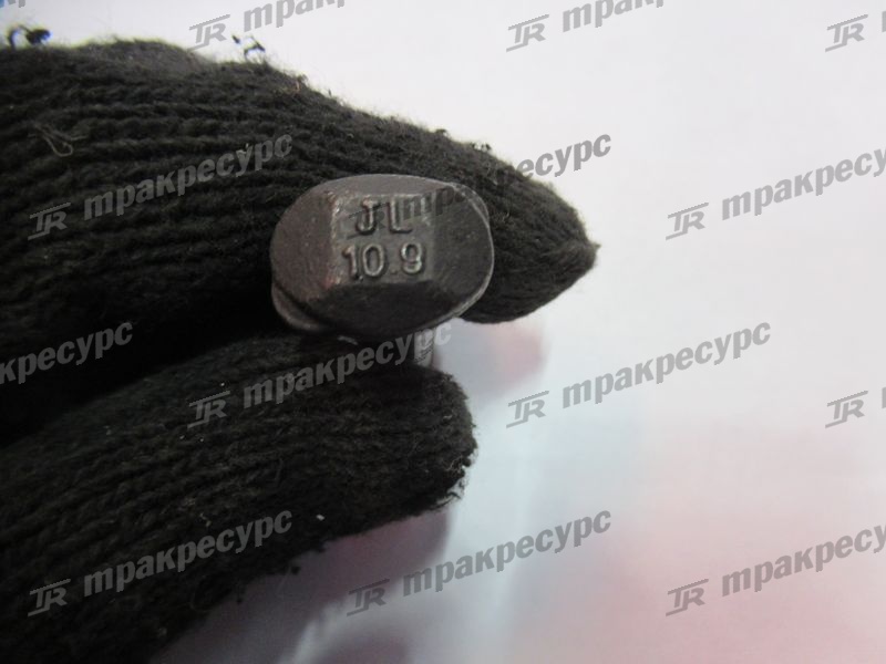 Болт 1004067-X2