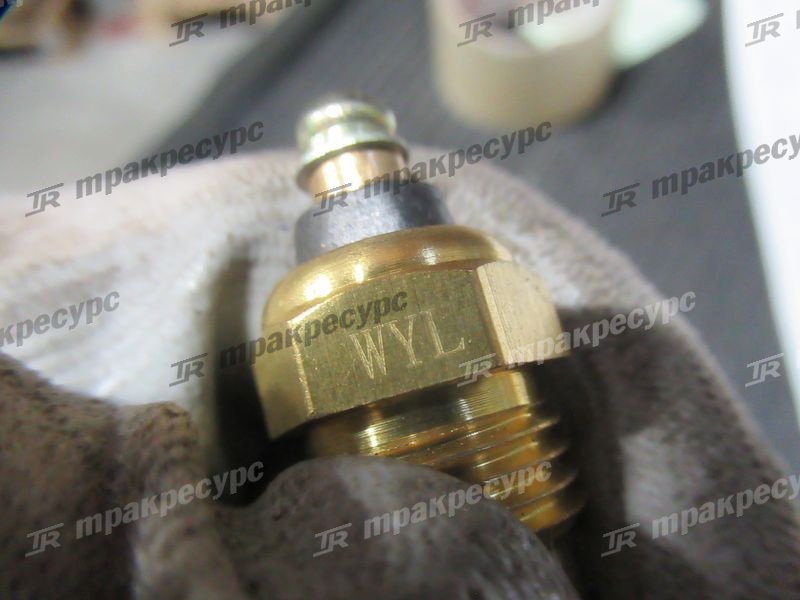Датчик температуры охлаждающей жидкости C490BPG
