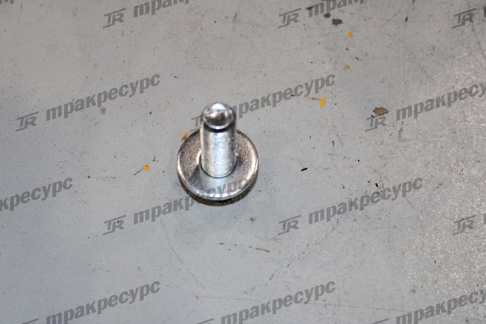 Болт 81552-76017-71