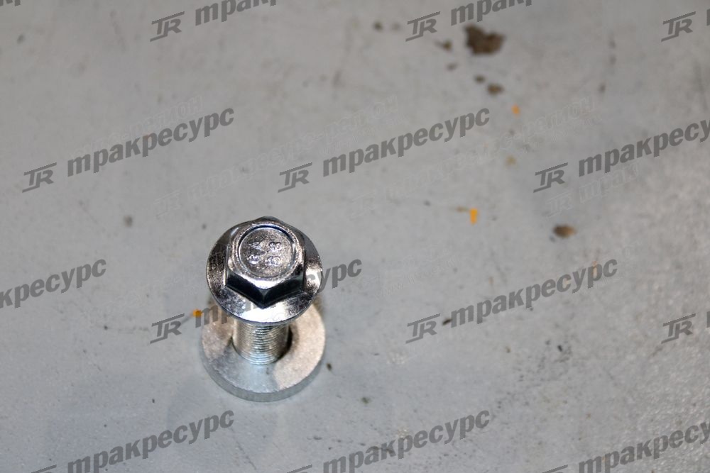 Болт 81552-76017-71