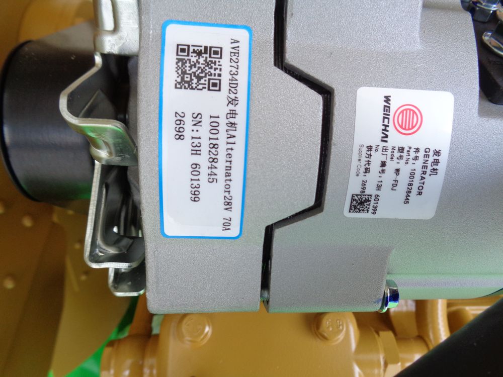 Двигатель в сборе WD10G220E21 DHD10G0562*01